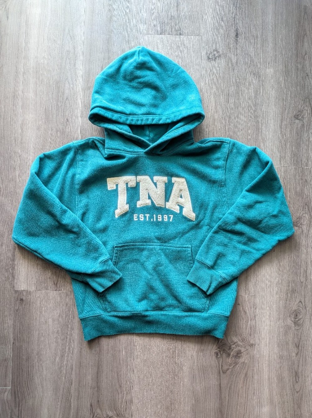 TNA Aritzia Teal Pullover Hoodie with White Logo